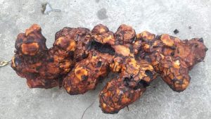 104675342 1226785420995921 4023985233208464211 n