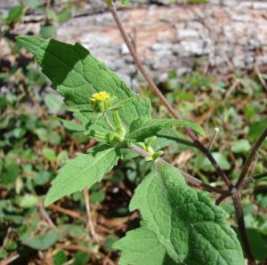 476345327 630754036108984 8289151535072386735 n