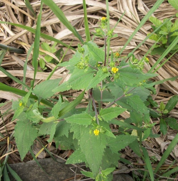 476388757 630754039442317 9210142628957196164 n