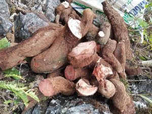 489949170 1604189114316845 9079737285048296040 n