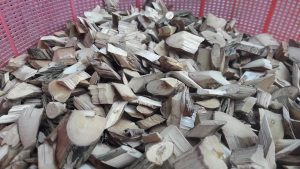 507983015 2555999008074549 8549498726311197769 n