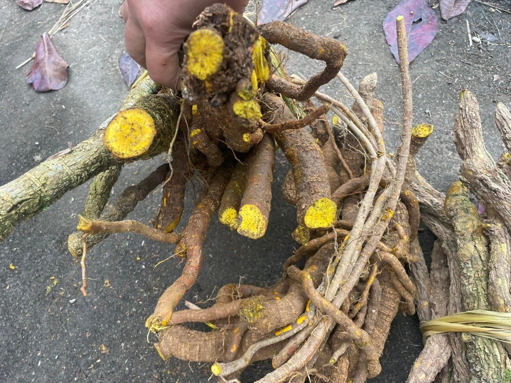 596808527 1816720196397068 8077461157846231111 n