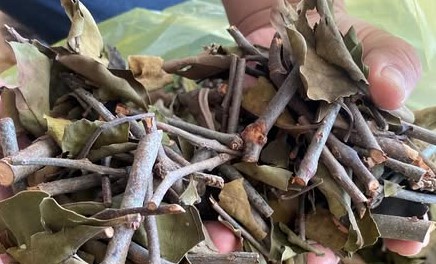 598006394 2163422901145553 2160355590197667435 n