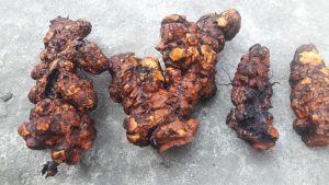 71865451 998635140477618 8133401932329910272 n