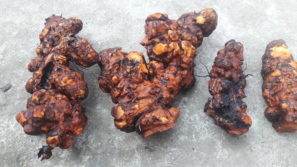 71865451 998635140477618 8133401932329910272 n